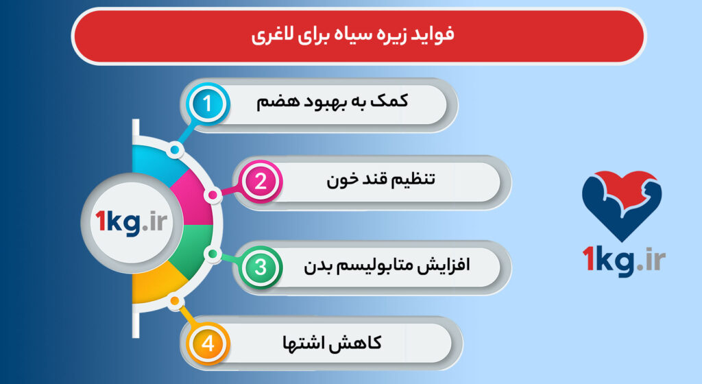 5 فایده مهم از فواید زیره سیاه برای لاغری