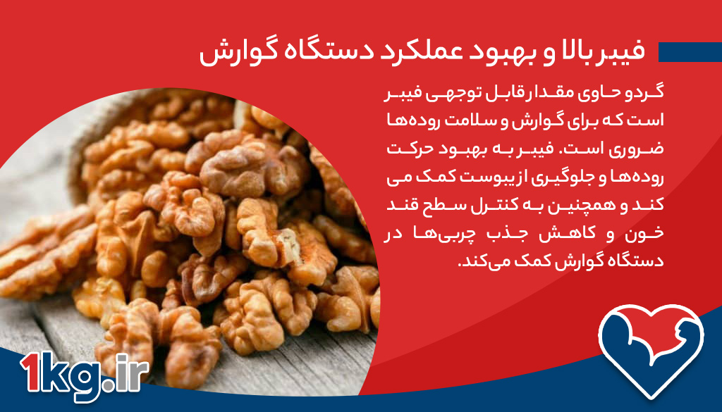 فواید مصرف گردو در رژیم لاغری