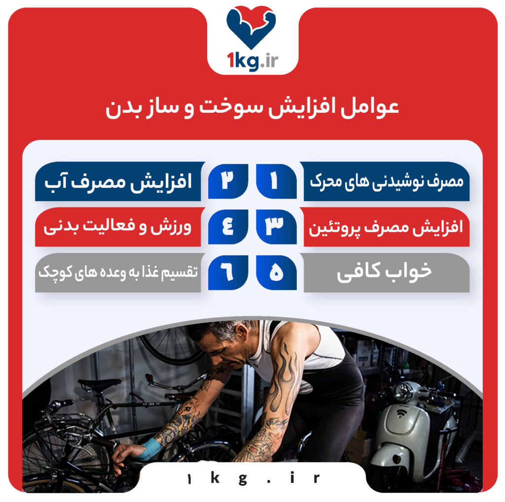 آشنایی با عوامل افزایش سوخت و ساز بدن، چگونه متابولیسم خود را تسریع کنیم؟