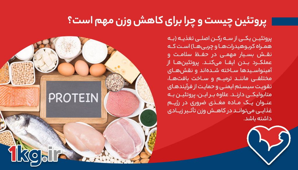 رژیم ‌های پر پروتئین برای کاهش وزن، رژیم هایی با قدرت طلایی