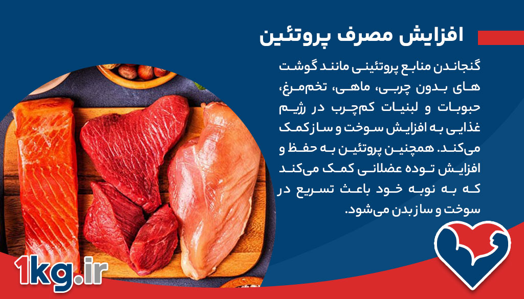 آشنایی با عوامل افزایش سوخت و ساز بدن، چگونه متابولیسم خود را تسریع کنیم؟