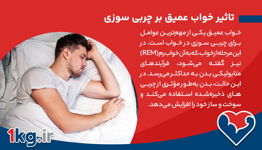 همه چیز در مورد چربی سوزی در خواب 27 همه چیز در مورد چربی سوزی در خواب