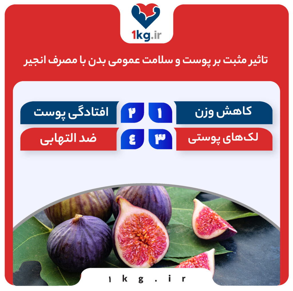 فواید مصرف انجیر برای کاهش وزن، آیا برای کاهش وزن انجیر بخورم؟