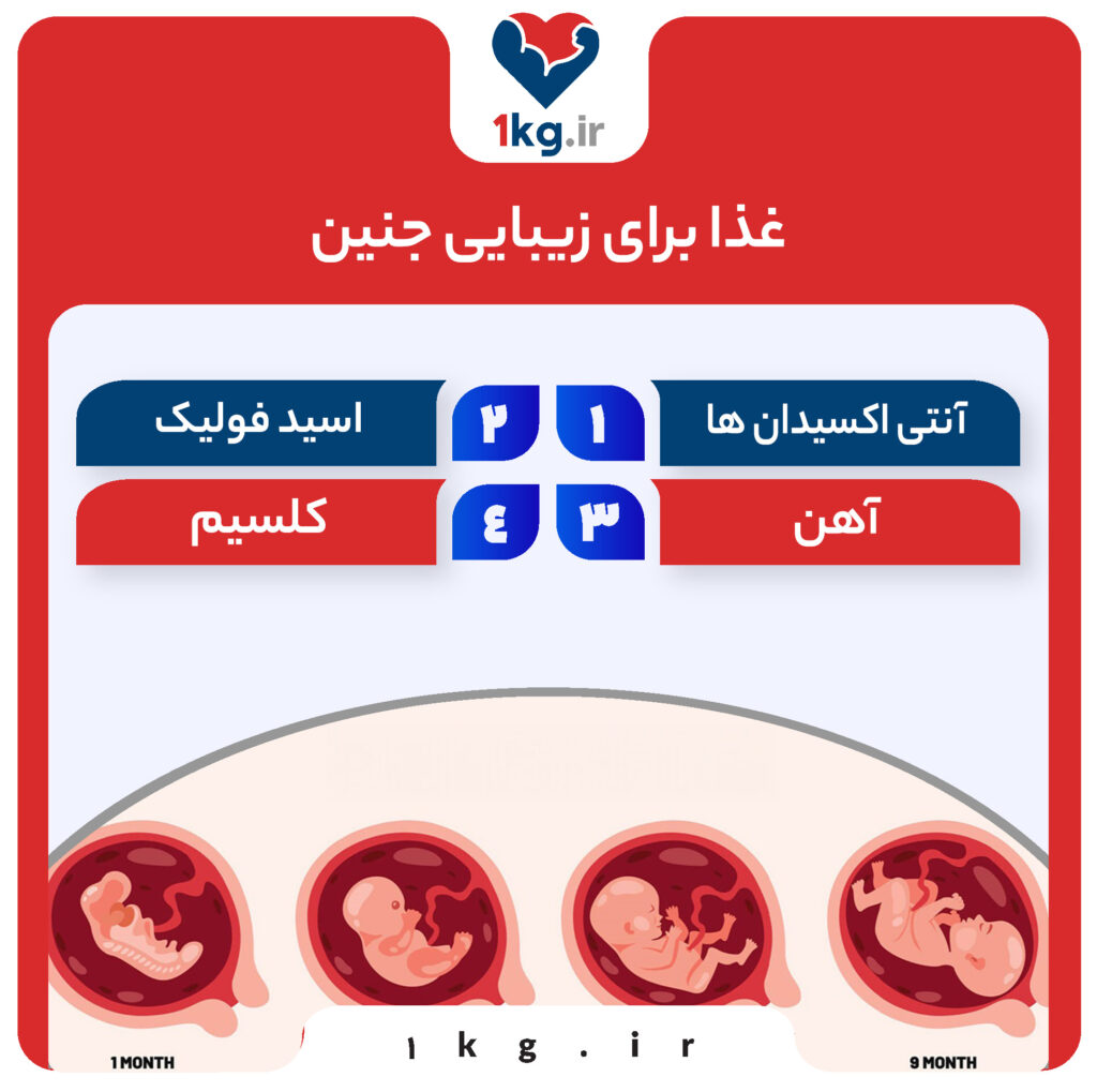 غذا برای زیبایی جنین، تغذیه‌ای سالم برای رشد و تکامل بهتر جنین