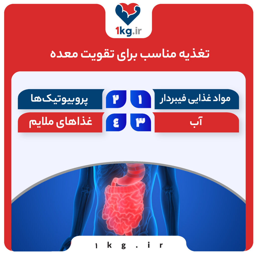 تقویت معده، راهکارهایی برای بهبود عملکرد معده و هضم بهتر غذا