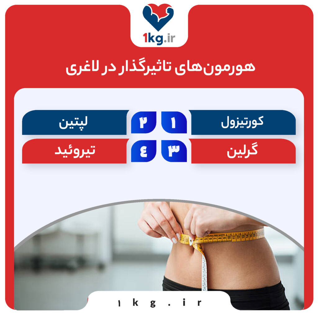 تعادل هورمونی در لاغری، کلید موفقیت در کاهش وزن
