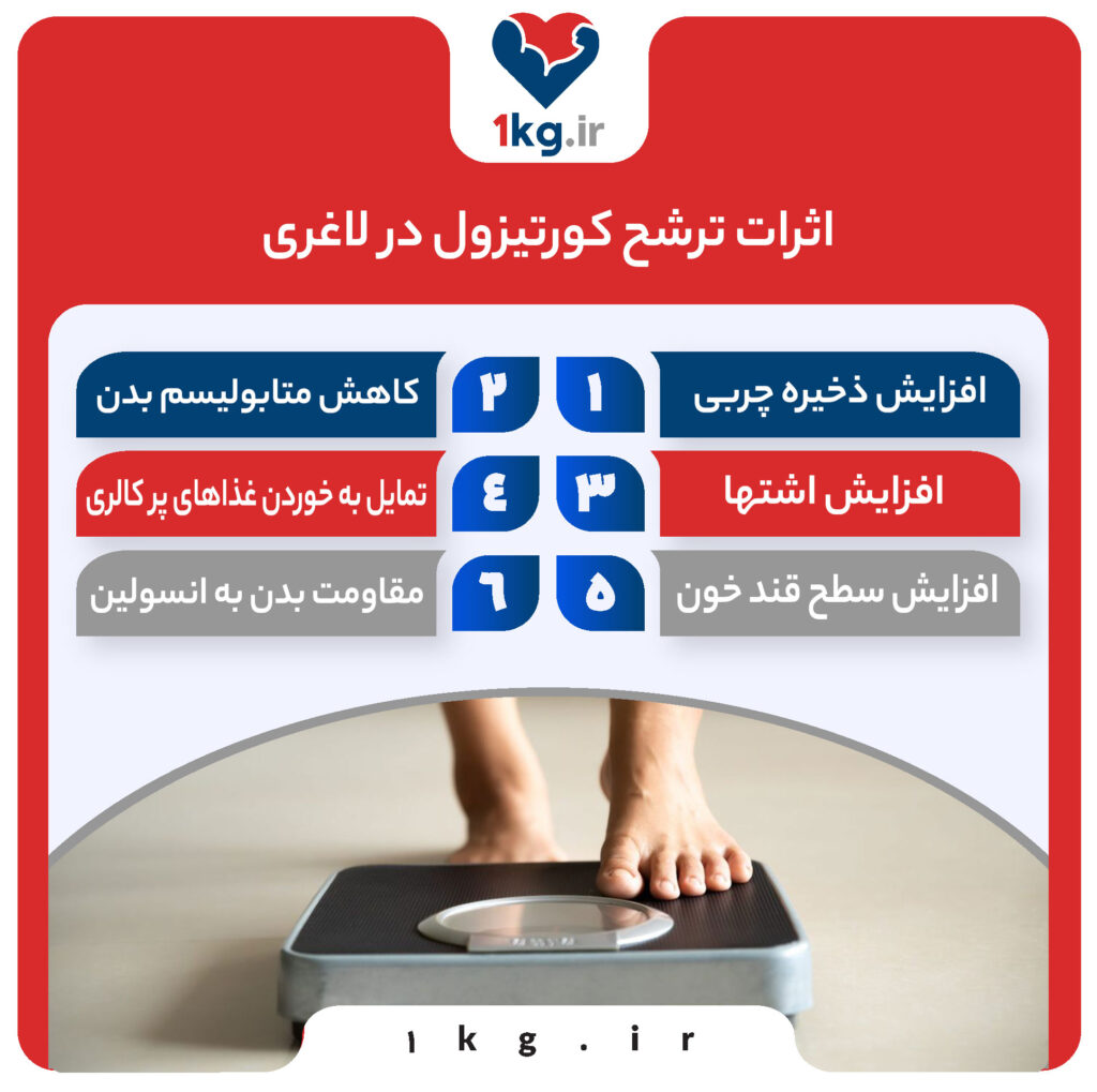 اثرات ترشح کورتیزول در لاغری، چگونه هورمون استرس بر کاهش وزن تاثیر می‌گذارد