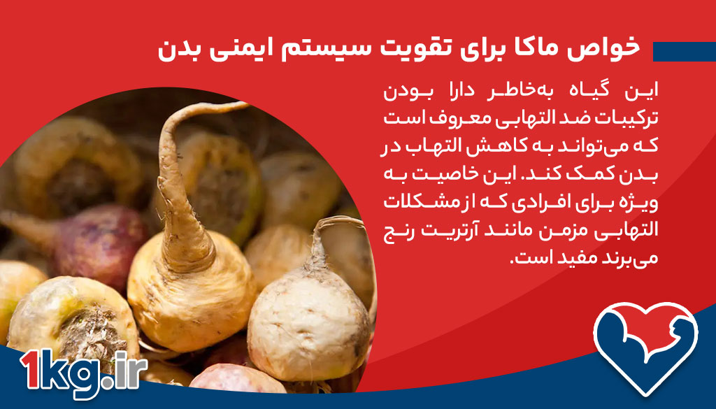 خواص ماکا، کشف راز این گیاه شگفت‌انگیز