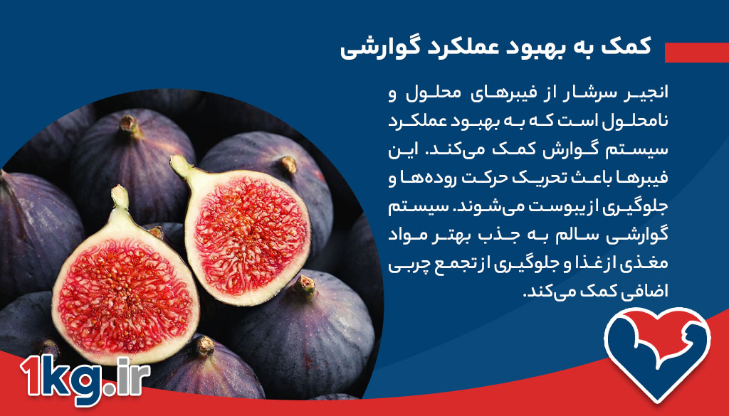 فواید مصرف انجیر برای کاهش وزن، آیا برای کاهش وزن انجیر بخورم؟