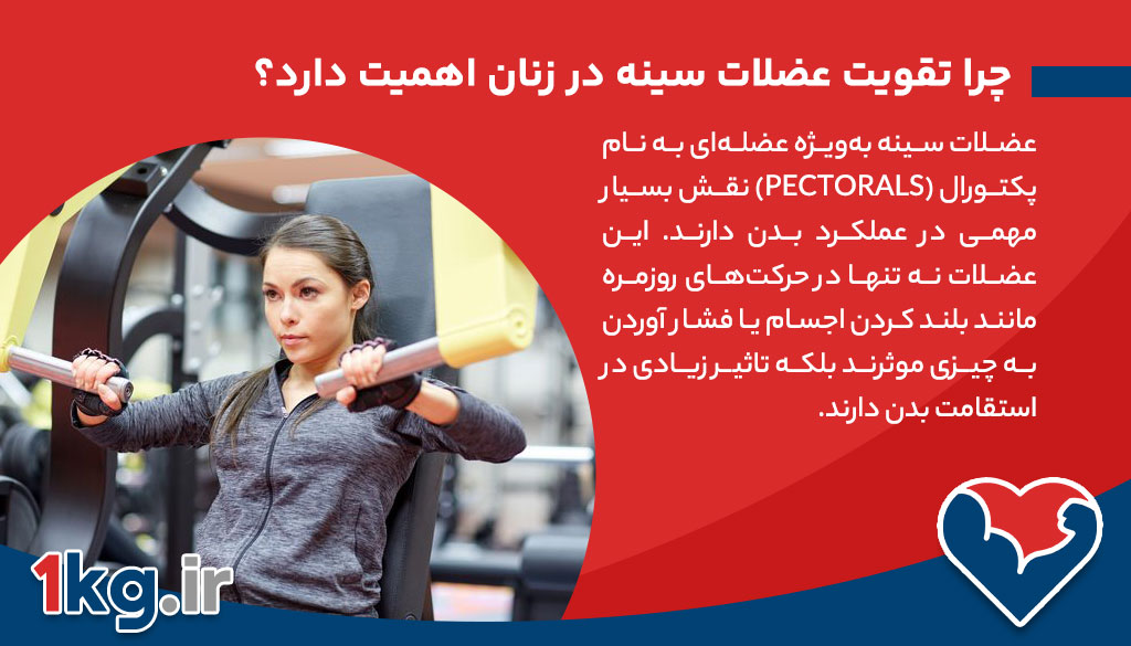 تقویت عضلات سینه در زنان؛ چرا و چگونه عضلات سینه خود را تقویت کنیم؟ 26 تقویت عضلات سینه در زنان؛ چرا و چگونه عضلات سینه خود را تقویت کنیم؟