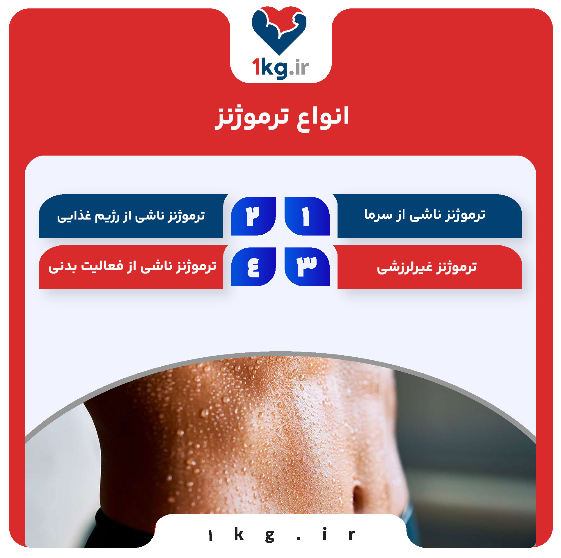 ترموژنز؛ فرآیند تولید گرما در بدن و نقش آن در سلامتی و کاهش وزن 27 ترموژنز؛ فرآیند تولید گرما در بدن و نقش آن در سلامتی و کاهش وزن