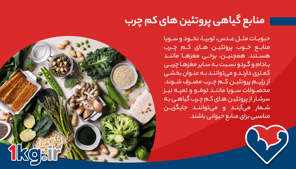 پروتئین های کم چرب: انتخابی سالم برای بدن و کاهش وزن