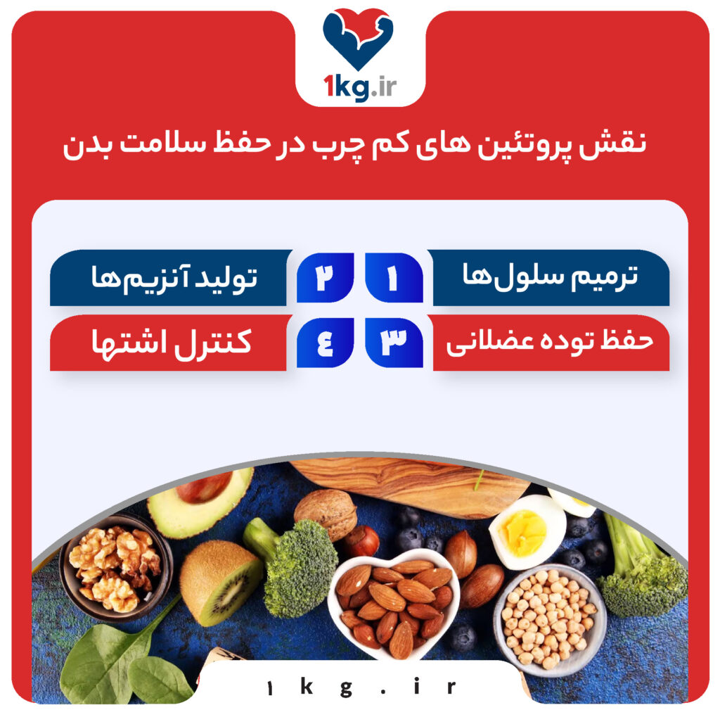 پروتئین های کم چرب: انتخابی سالم برای بدن و کاهش وزن