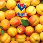 سالاد زردآلو برای لاغری: یک گزینه سالم و خوشمزه برای کاهش وزن