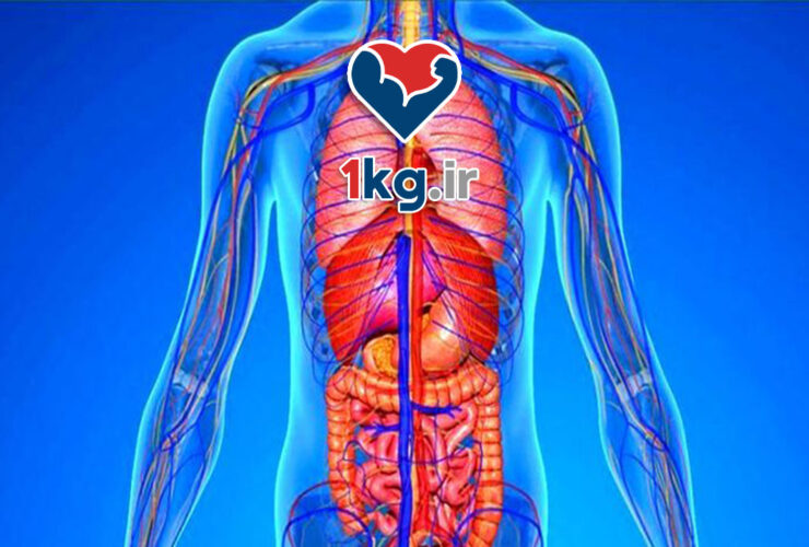 دفع سموم بدن؛ کلید سلامت و بهبود کیفیت زندگی