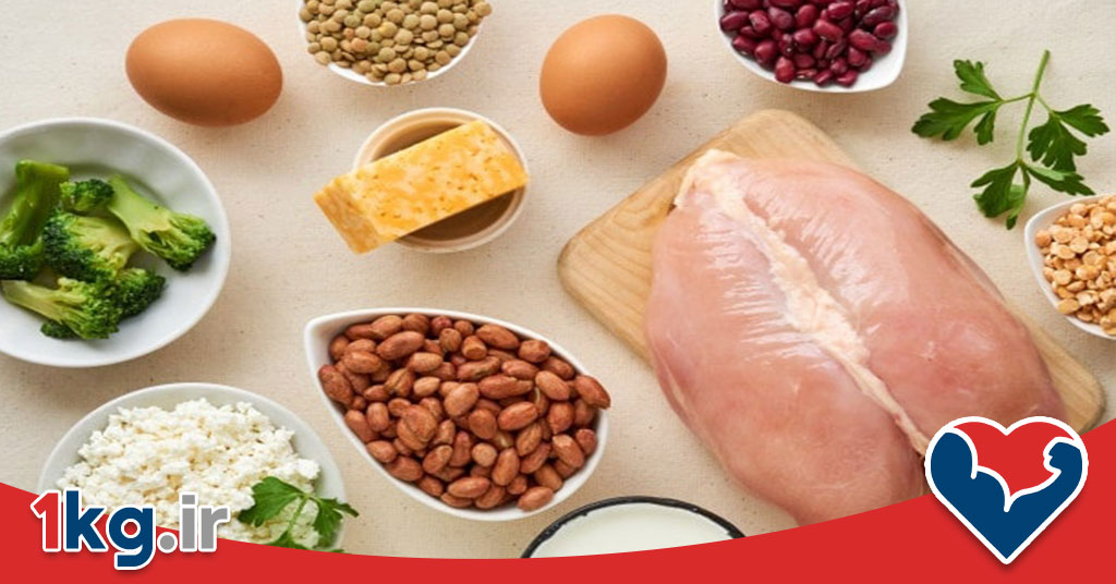 دستور پخت غذای پر پروتئین 26 دستور پخت غذای پر پروتئین