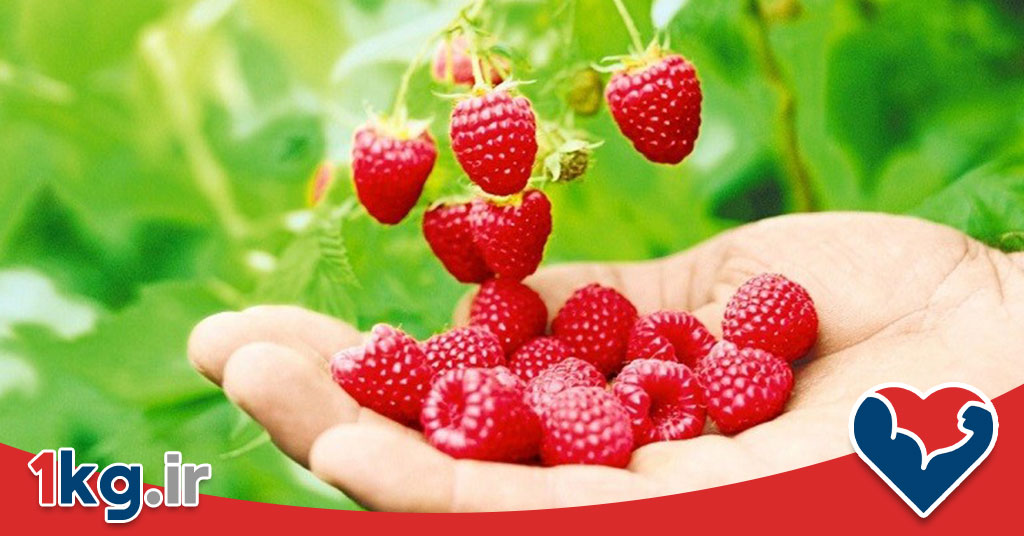 سالاد تشمک برای لاغری: یک گزینه سالم و خوشمزه