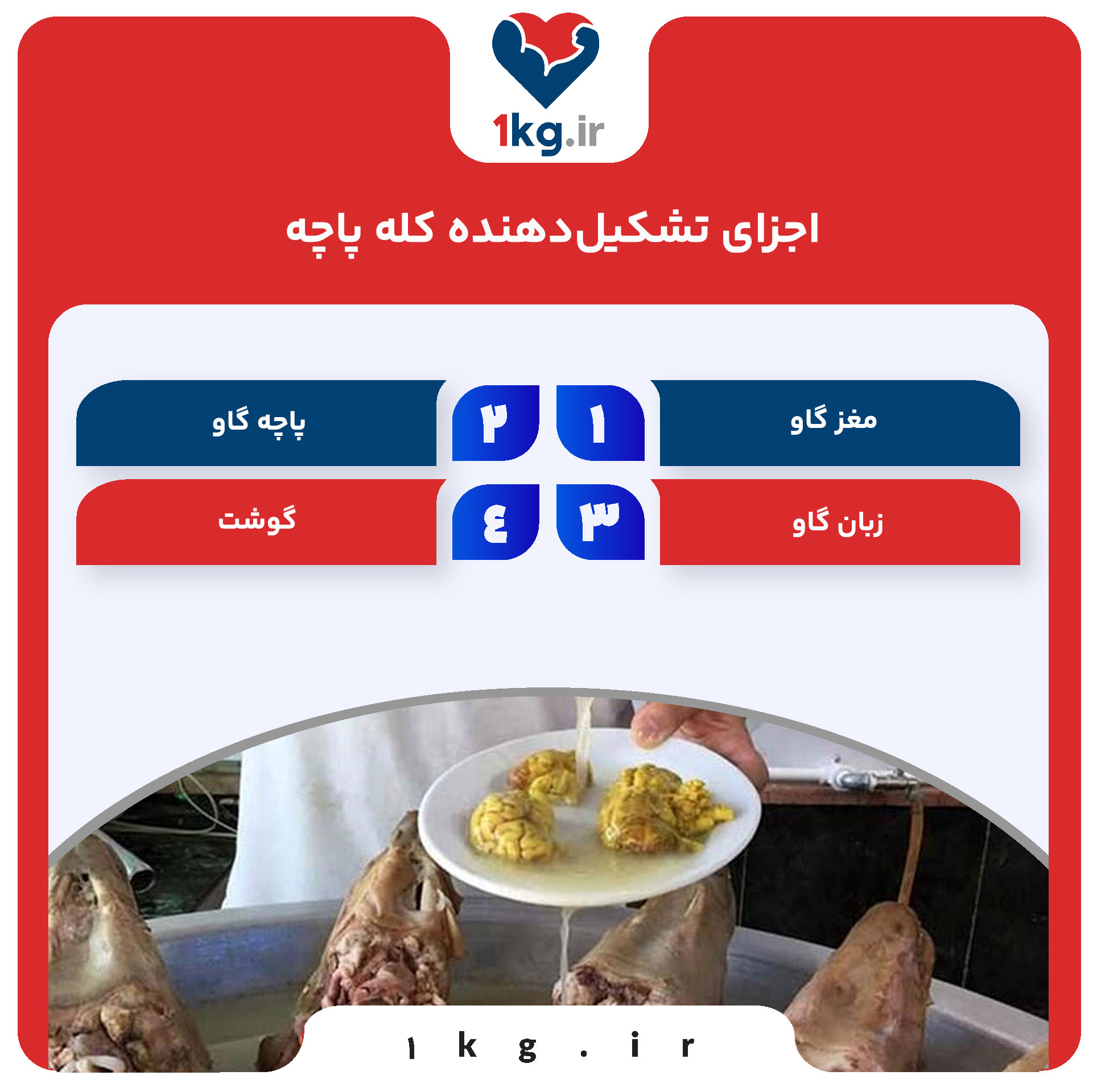 کالری کله پاچه: بررسی ارزش غذایی و فواید آن