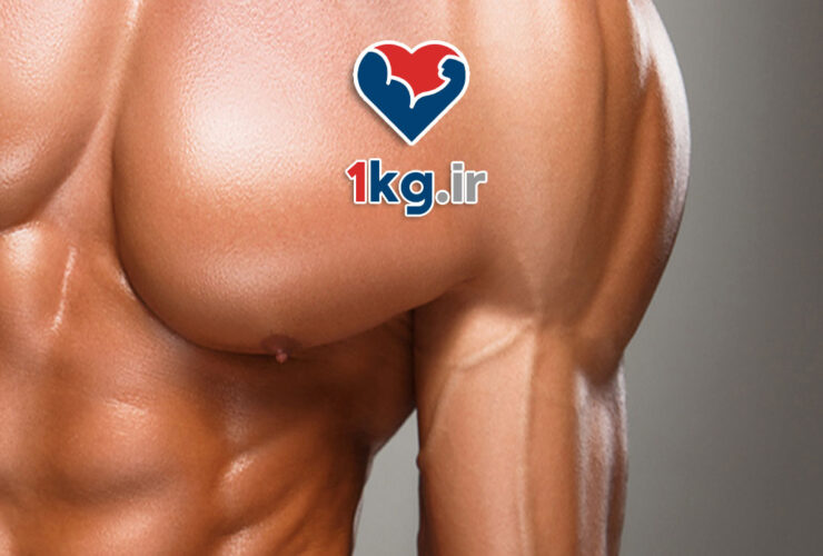 عضله سازی در 40 سالگی: راهنمای جامع برای شروع قوی و سالم 27 عضله سازی در 40 سالگی: راهنمای جامع برای شروع قوی و سالم