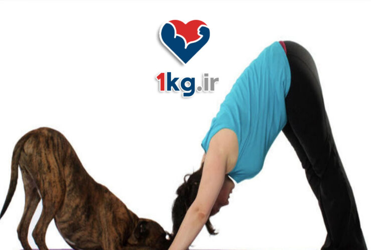 ژست یوگای سگ: پلی بین قدرت، آرامش و کاهش وزن