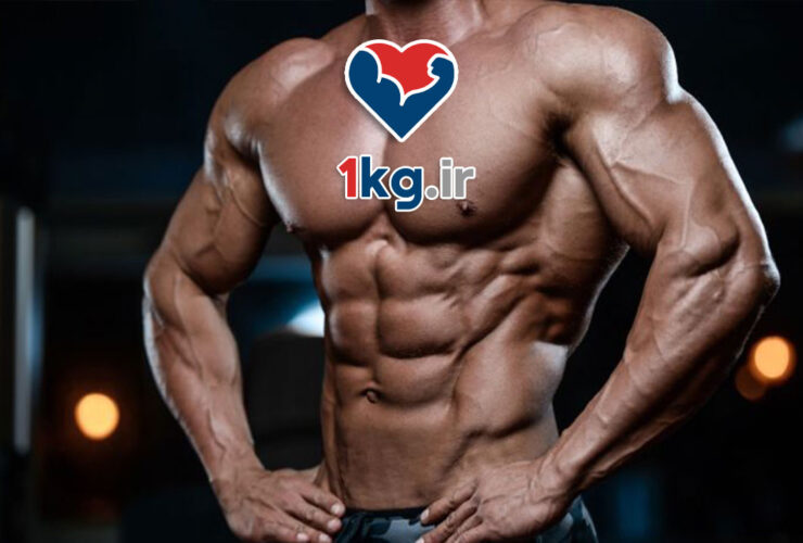 تناسب اندام در مردان؛ کلید سلامت، قدرت و اعتماد به نفس 43 تناسب اندام در مردان؛ کلید سلامت، قدرت و اعتماد به نفس