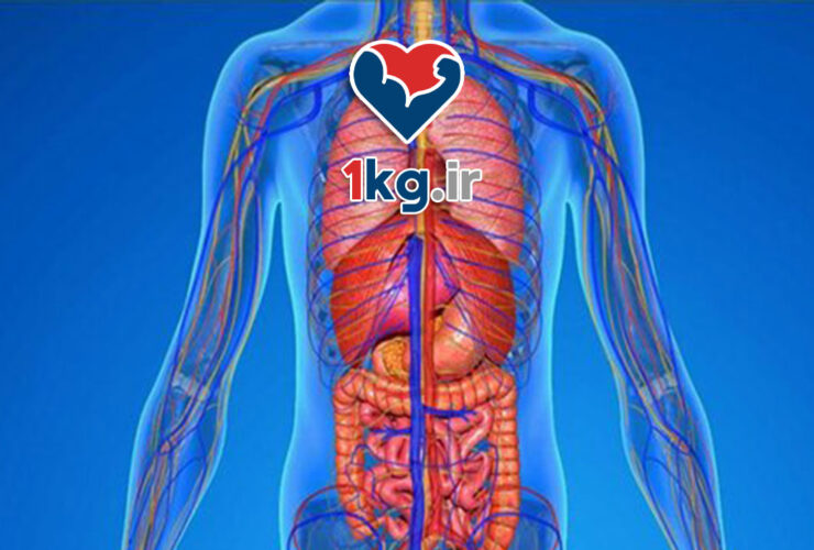 سم زدایی طبیعی بدن+ معرفی 6 راهکار اساسی