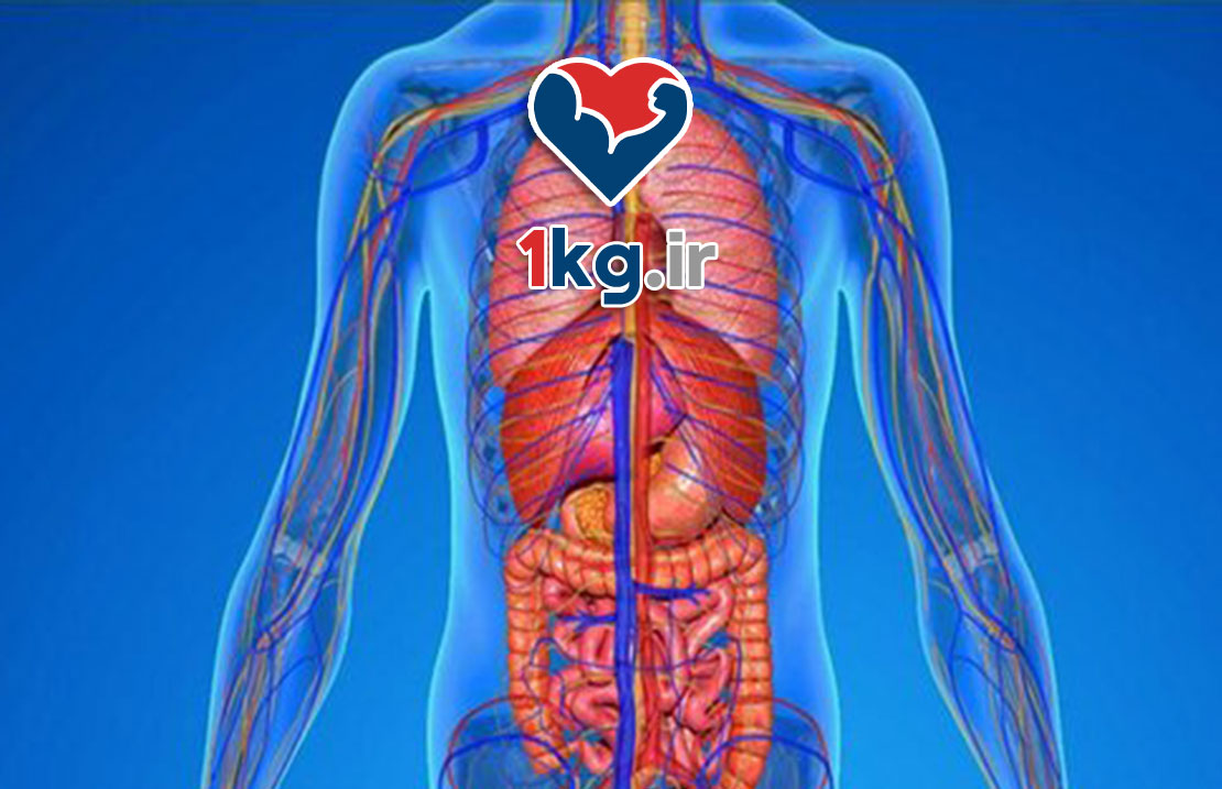 سم زدایی طبیعی بدن+ معرفی 6 راهکار اساسی 25 سم زدایی طبیعی بدن+ معرفی 6 راهکار اساسی