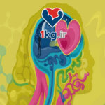 راهکارهای متعادل کردن استروژن بدن