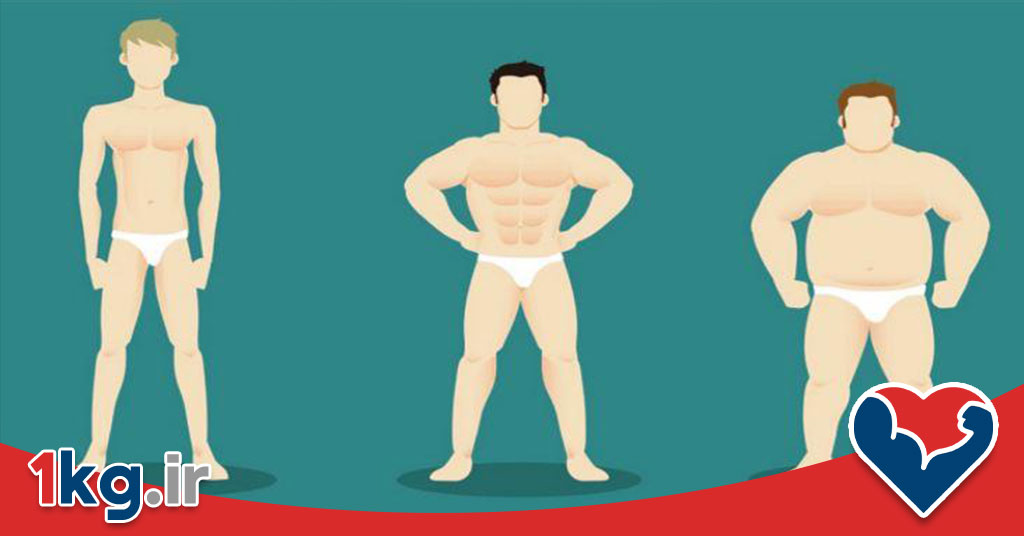 تاثیر ورزش بر پارامترهای ترکیب بدن: کلید سلامتی و تناسب