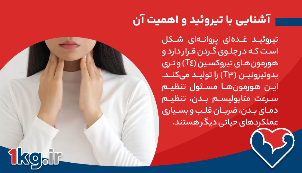 اثر قهوه برای تیروئید: بررسی کامل تأثیر قهوه بر عملکرد تیروئید 26 آشنایی با تیروئید و اهمیت آن