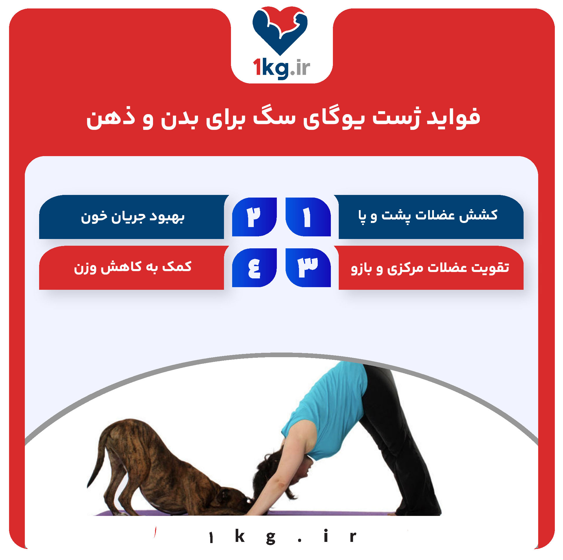 فواید ژست یوگای سگ برای بدن و ذهن