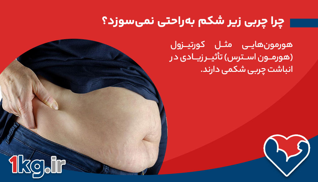 چرا چربی زیر شکم به‌راحتی نمی‌سوزد؟
