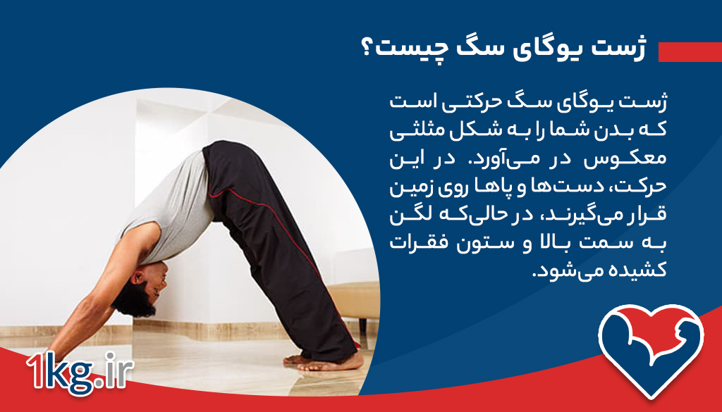 ژست یوگای سگ چیست؟