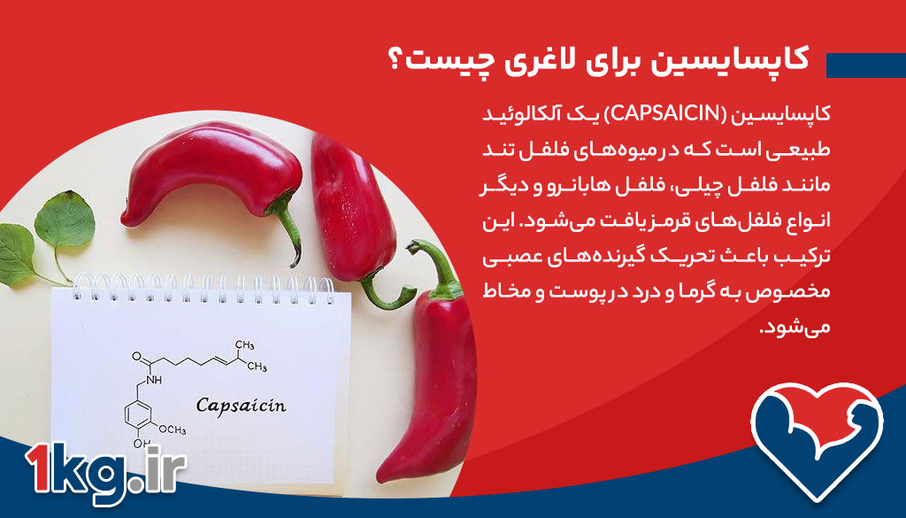 کاپسایسین برای لاغری؛ ترکیب جادویی فلفل تند با خواص بینظیر 26 کاپسایسین برای لاغری؛ ترکیب جادویی فلفل تند با خواص بینظیر