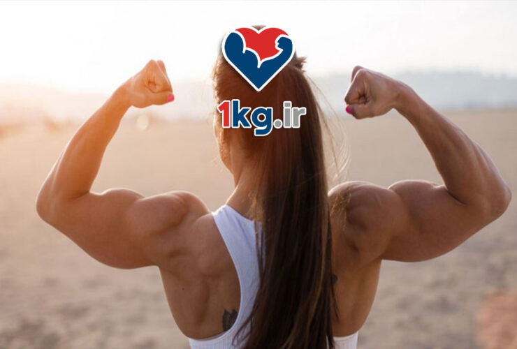 برنامه چاقی برای بدنسازان+0تا100 مواردی که باید بدانید 31 برنامه چاقی برای بدنسازان+0تا100 مواردی که باید بدانید