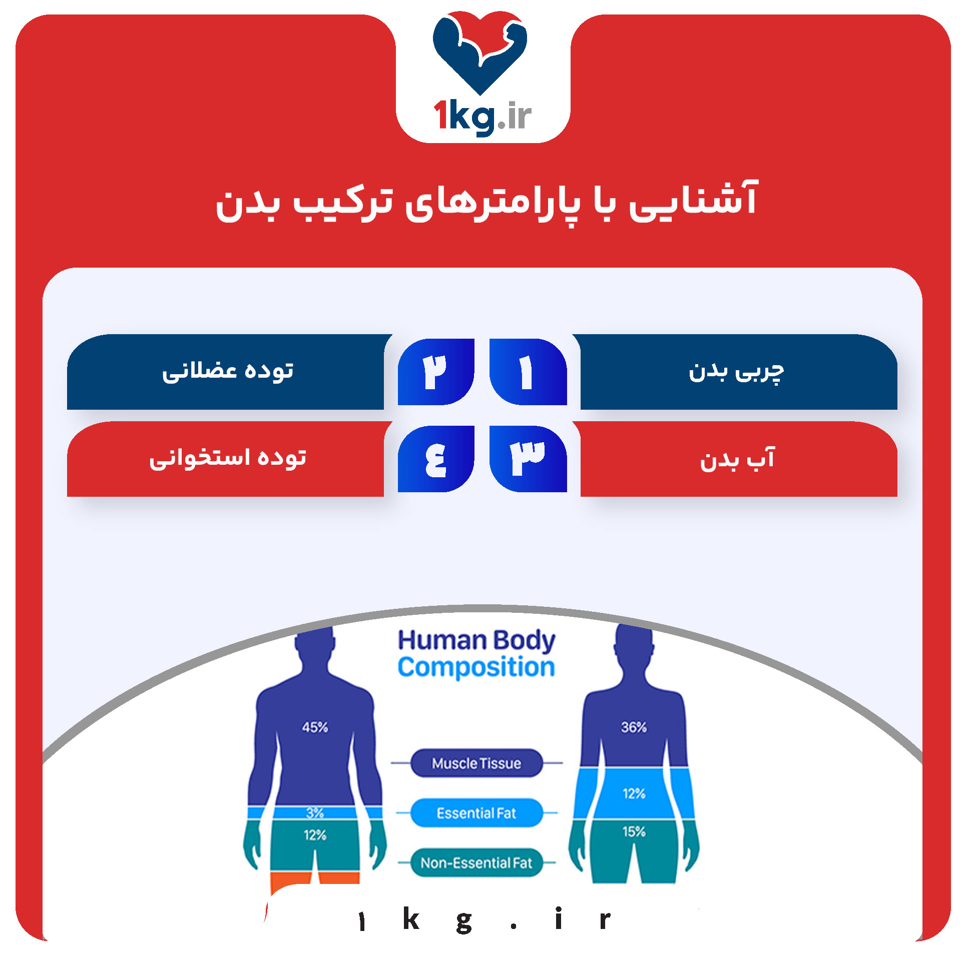 آشنایی با پارامترهای ترکیب بدن