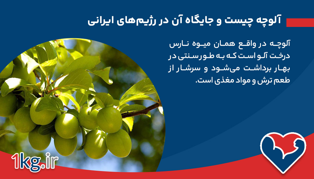 آلوچه چیست و جایگاه آن در رژیم‌های ایرانی کجاست؟