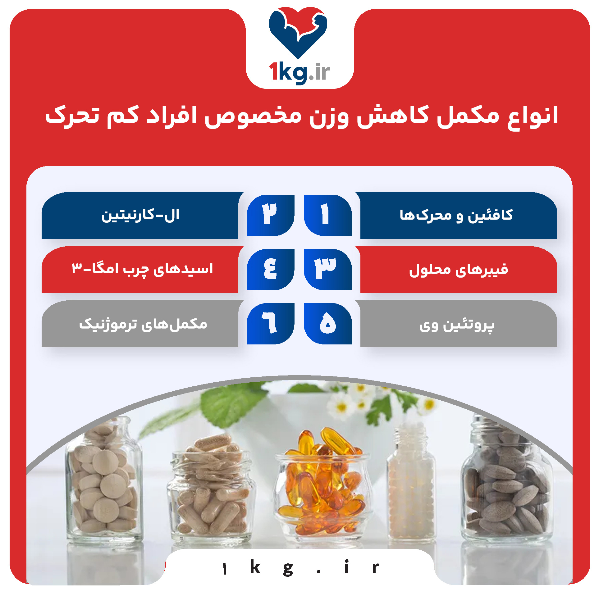 انواع مکمل کاهش وزن مخصوص افراد کم تحرک و مکانیسم اثر آنها