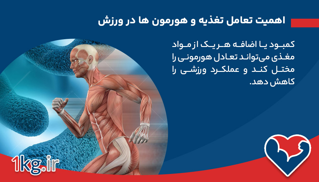 اهمیت تعامل تغذیه و هورمون ها در ورزش