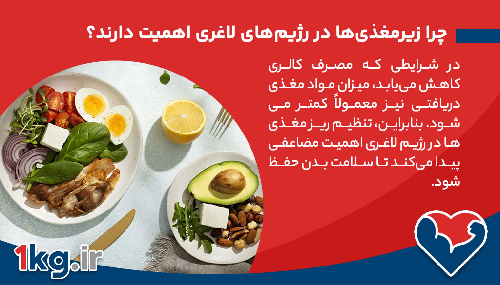 زیرمغذی‌ها چیستند و چرا در رژیم‌های لاغری اهمیت دارند؟