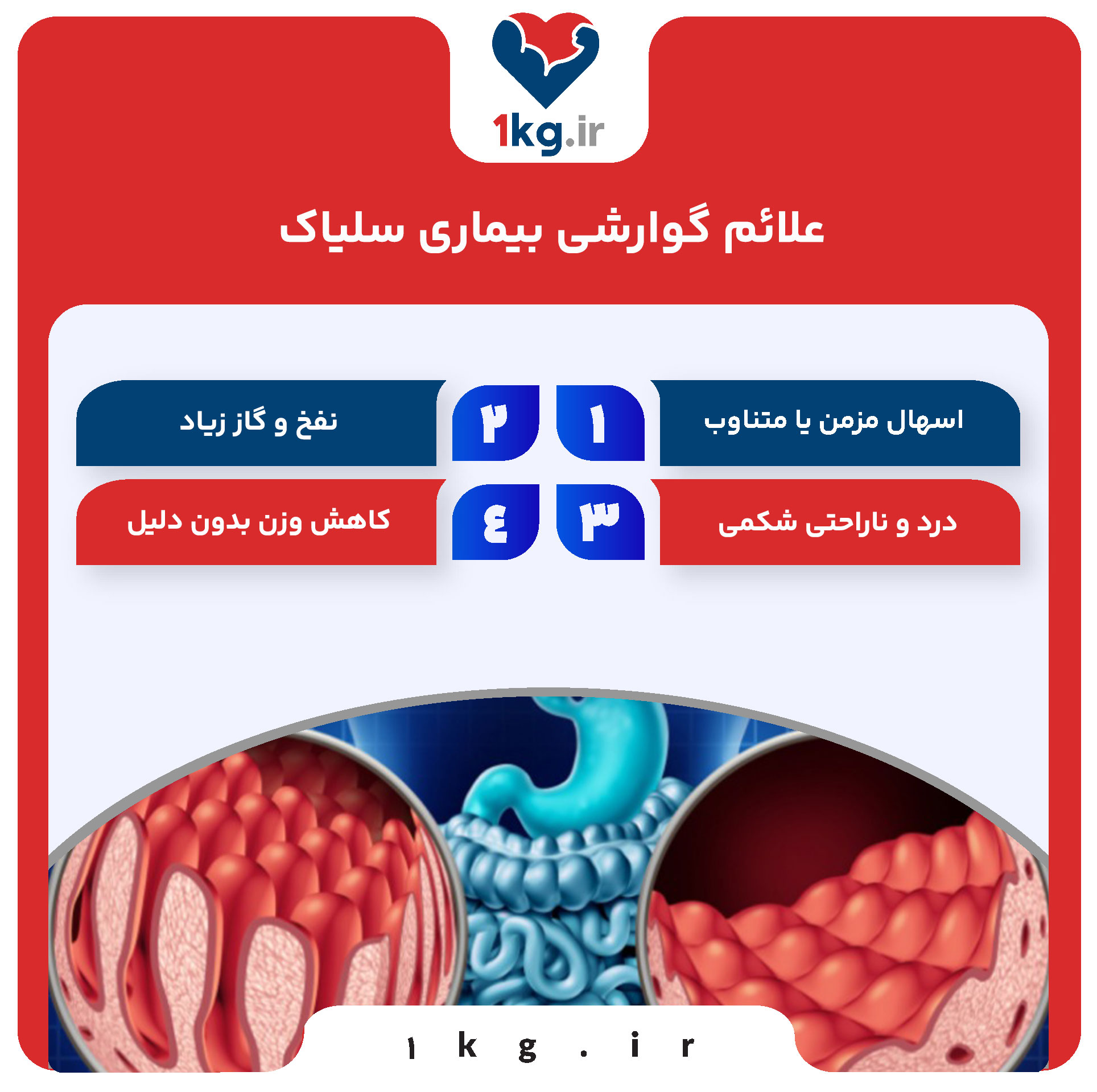 بیماری سلیاک: آشنایی کامل با علائم، علل و راههای درمان 27 علائم بیماری سلیاک