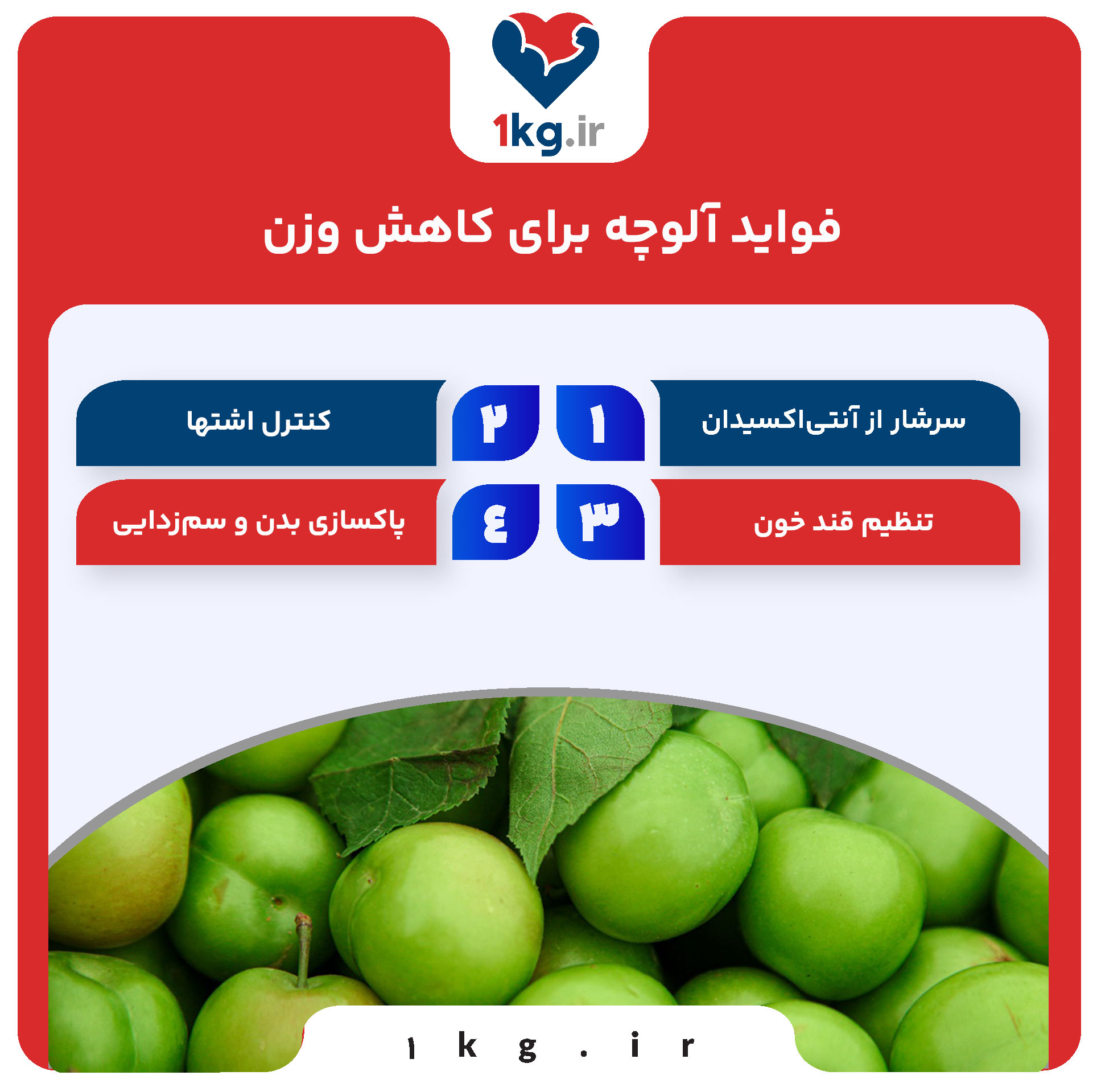 فواید آلوچه برای کاهش وزن