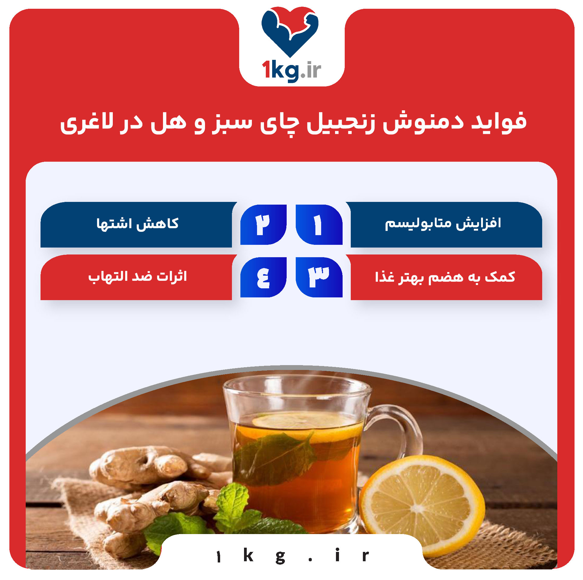 دمنوش زنجبیل چای سبز و هل در لاغری: رازهای یک ترکیب جادویی برای کاهش وزن 28 فواید دمنوش زنجبیل چای سبز و هل در لاغری