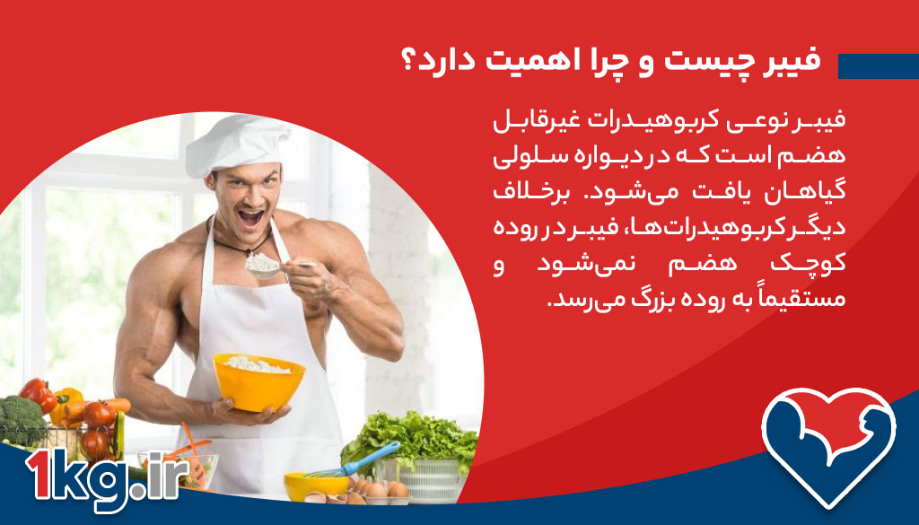 مصرف فیبر در برنامه ورزشی: نقش، فواید و نکات کلیدی 26 فیبر چیست و چرا اهمیت دارد؟