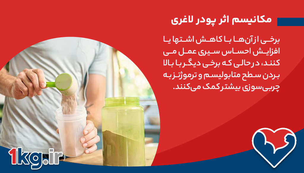 پودر لاغری؛ فواید، انواع، نکات ایمنی و مقایسه محصولات رایج 26 مکانیسم اثر پودر لاغری