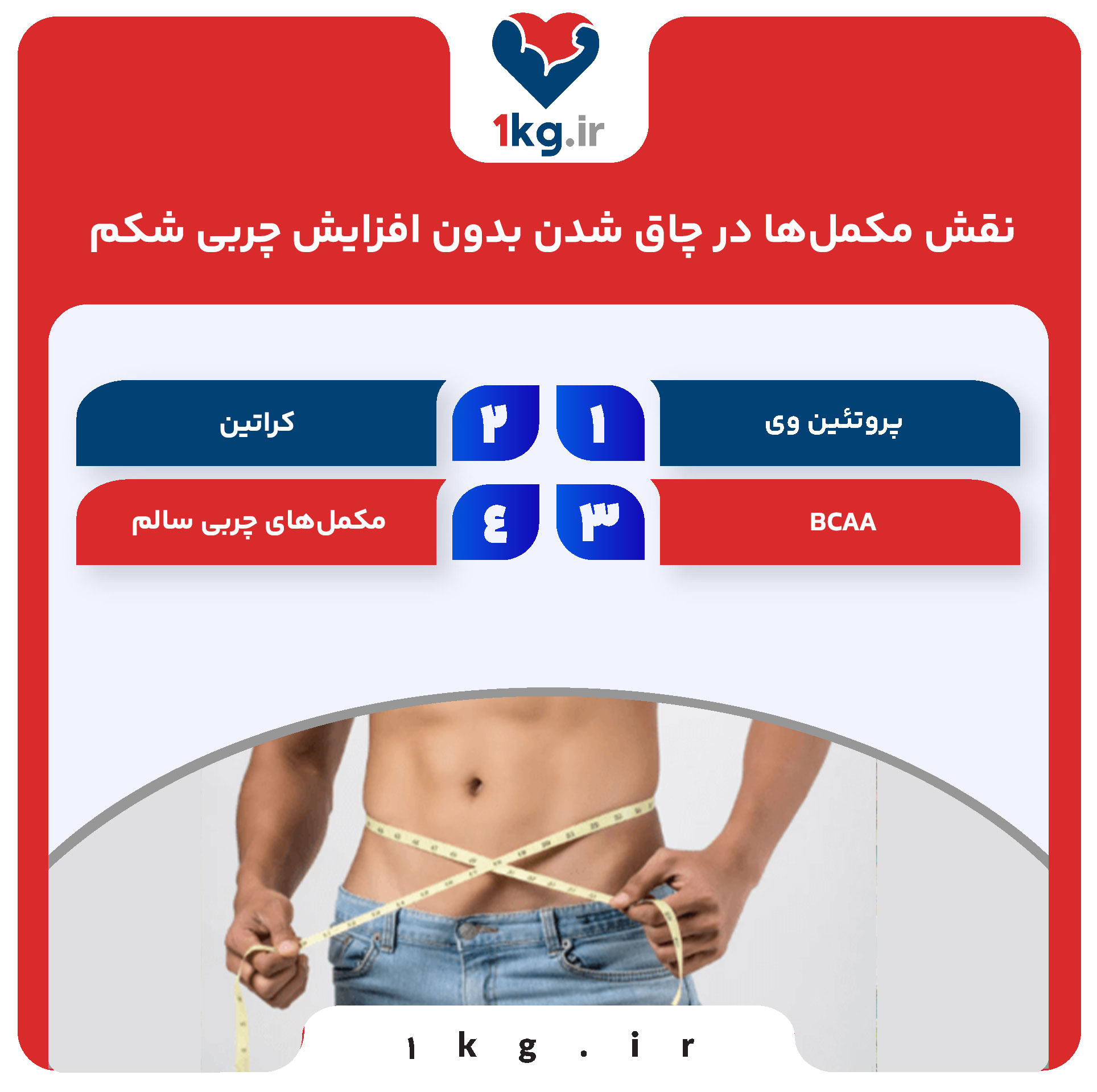 نقش مکمل‌ها در چاق شدن بدون افزایش چربی شکم