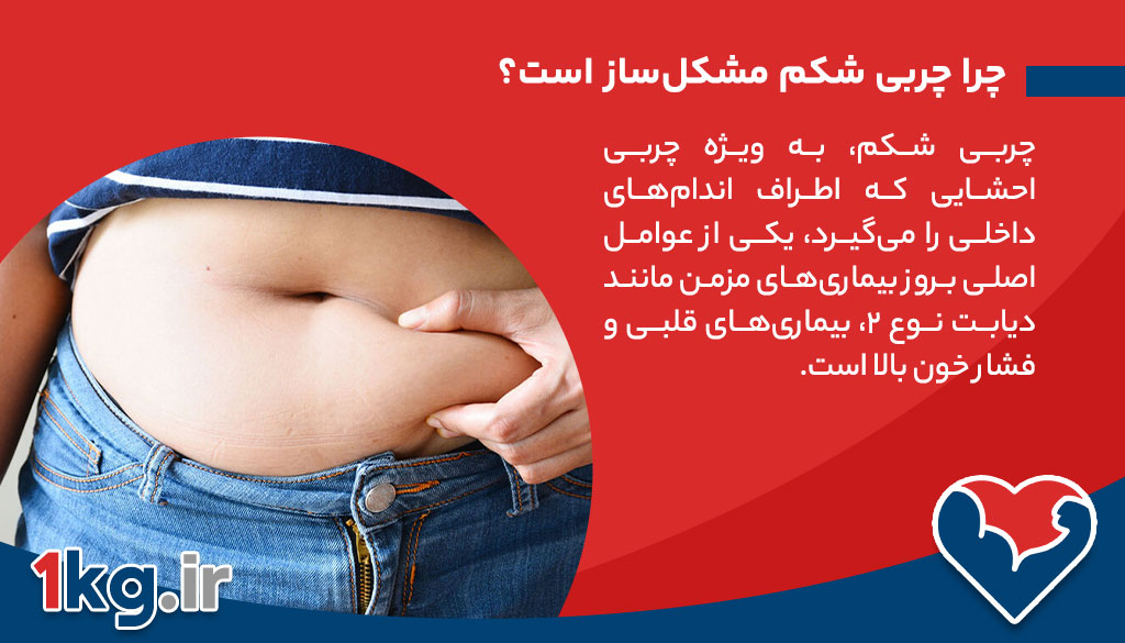چرا چربی شکم مشکل‌ساز است؟