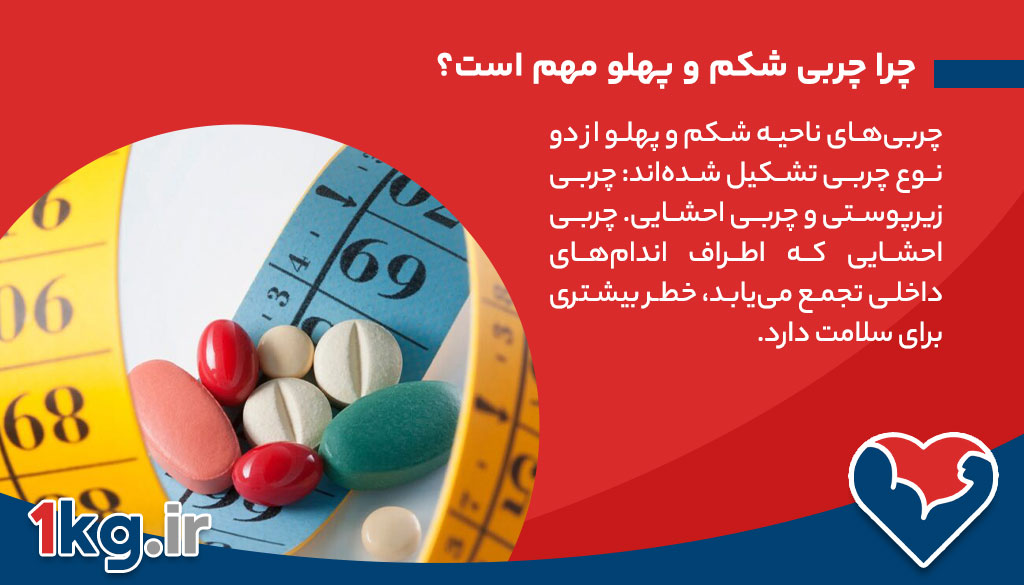 داروی لاغری برای کاهش چربی شکم و پهلو+موارد 100% حیاتی 26 چرا چربی شکم و پهلو مهم است؟