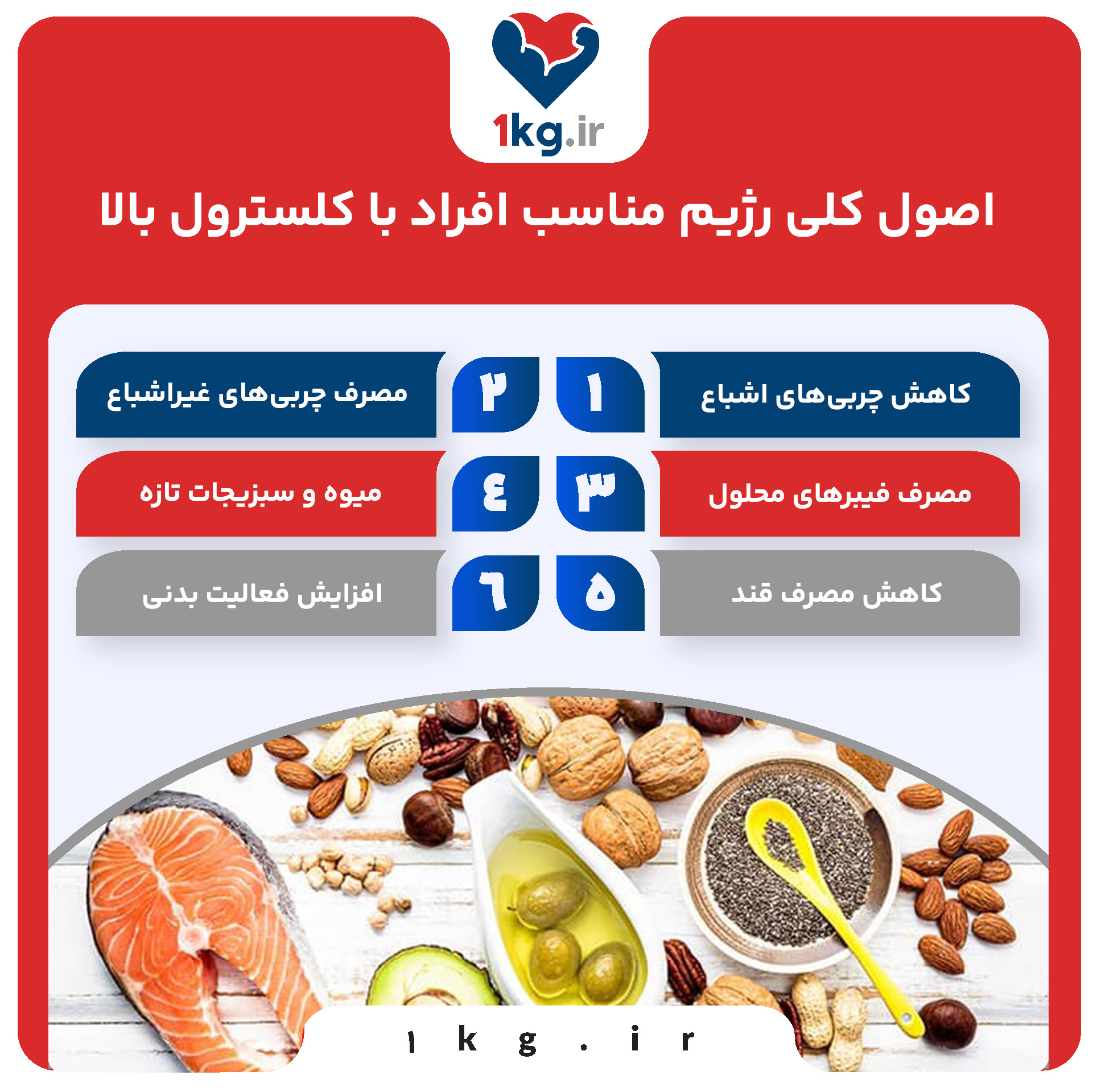 رژیم لاغری برای بانوان بالای ۴۰ سال+اصول کلی چیست؟ 27 اصول کلی رژیم لاغری برای بانوان بالای ۴۰ سال