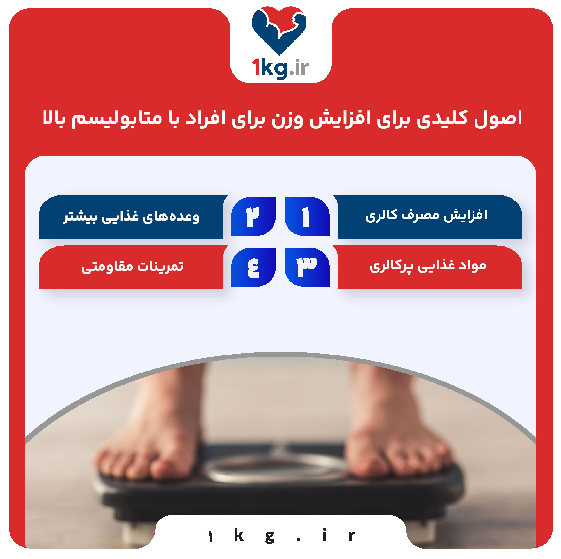 افزایش وزن برای افراد با متابولیسم بالا: راهکارهای جامع و علمی 27 اصول کلیدی برای افزایش وزن برای افراد با متابولیسم بالا